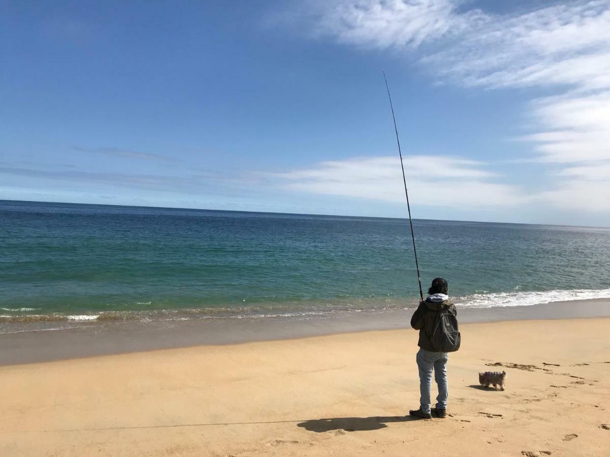 דירות וינה דל מר Depa Torre Juan Fernandez מראה חיצוני תמונה